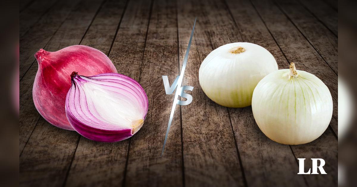 Cebolla roja vs cebolla blanca ¿cuáles son sus diferencias y para qué platos sirven cada una