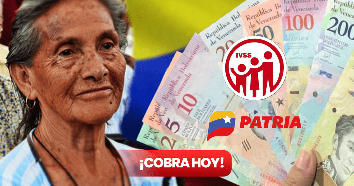 Pago Pensión IVSS Septiembre 2023: Cobra HOY El Pago De La Pensión Del ...