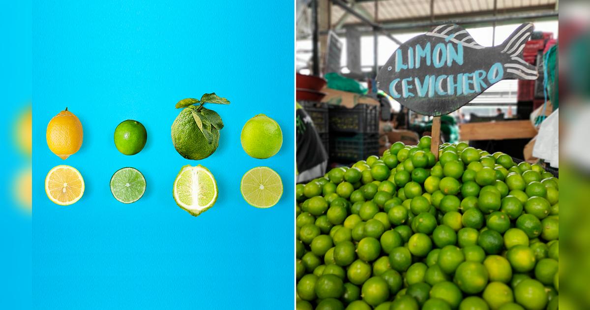 ¿Cuántas variedades de limón se venden en Perú? precio por kilo ...
