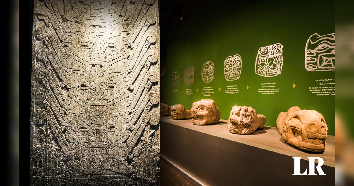 Estela Raimodi Áncash: Estela Raimondi será trasladada de Lima al Museo de Chavín ...