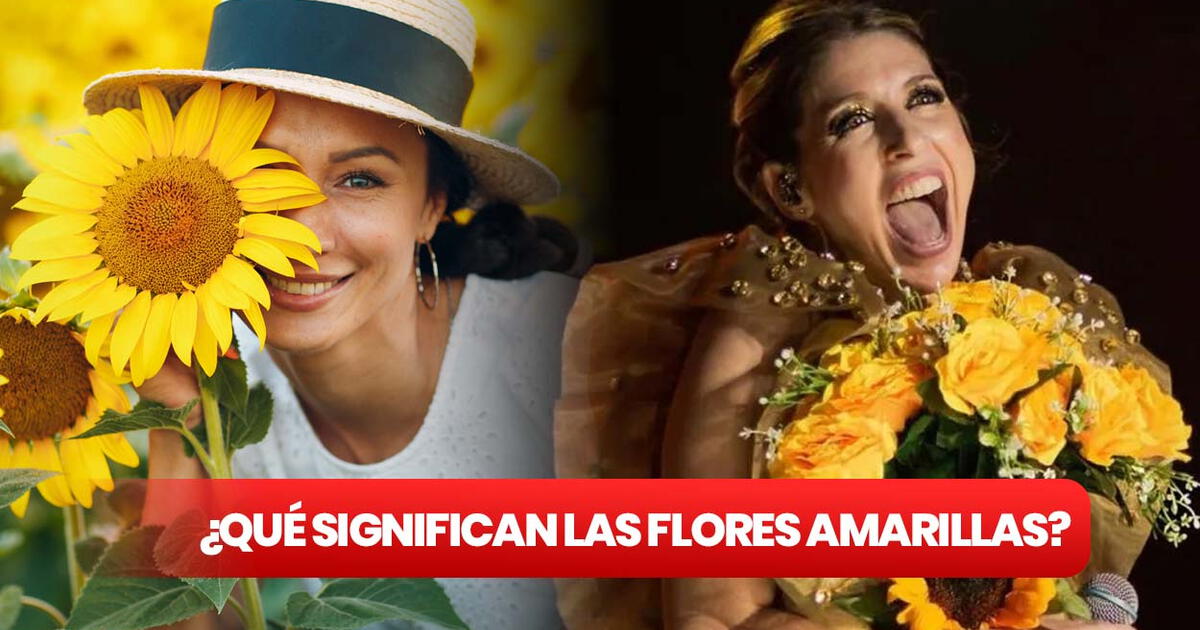 Día de las flores amarillas en Argentina ¿cuándo hay que regalarlas y