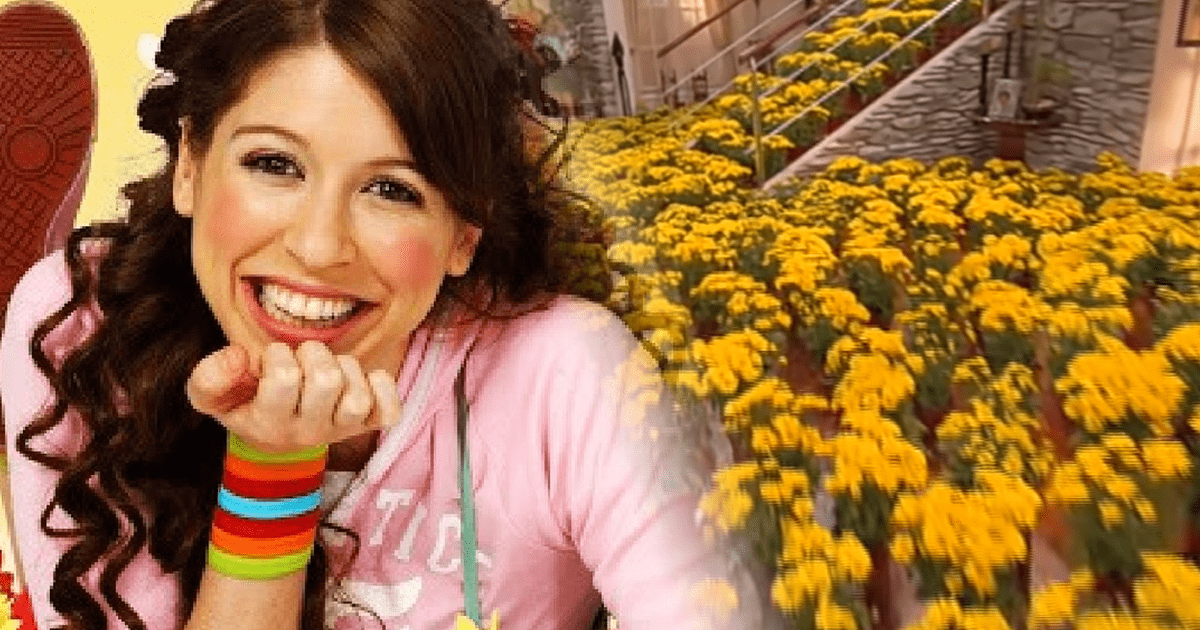 ¿Por Qué Floricienta Odia Cantar El Famoso Tema 'Flores Amarillas ...