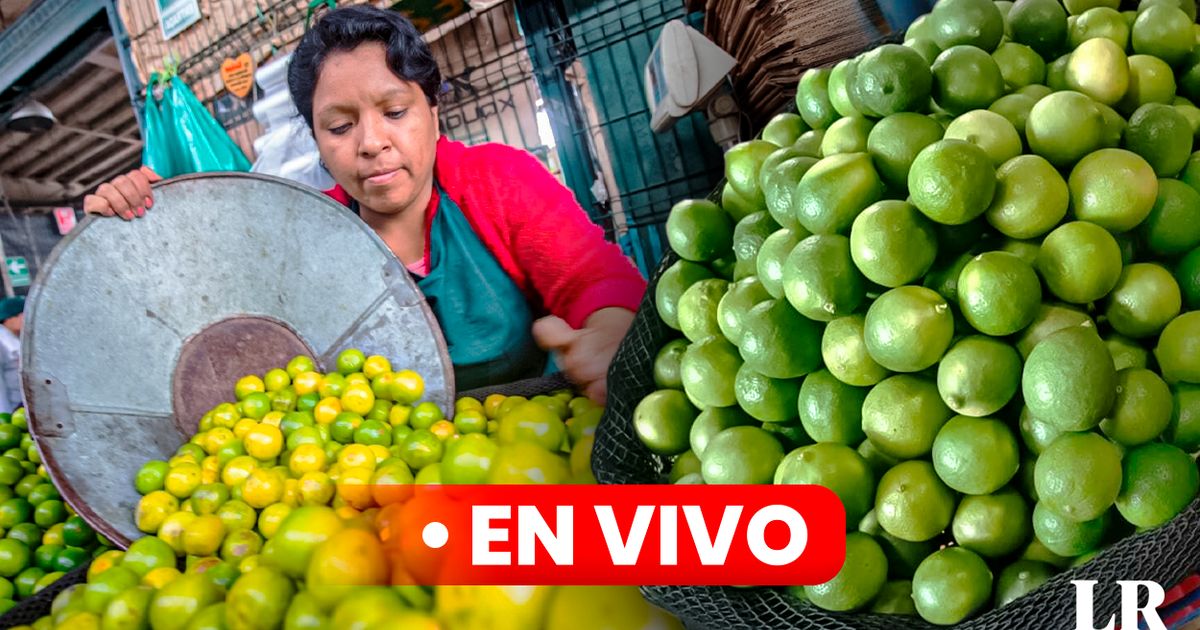 Price of lemon TODAY September 25: how much does a kilo cost in Lima and regions of Peru