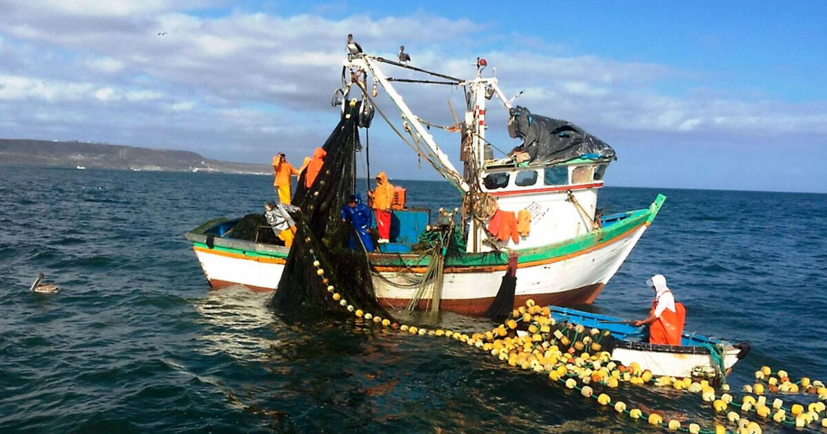 China displaces Peru as the first squid fisherman in the world