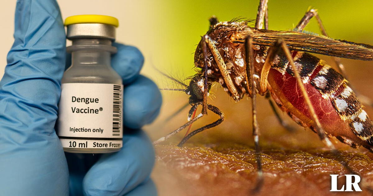 Vacuna Dengue Oms Recomienda Uso De La Primera Vacuna Contra El Dengue Ante Alza De Casos En 1658
