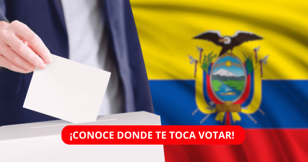 Elecciones presidenciales Ecuador 2023 ¿cómo y dónde me toca votar en