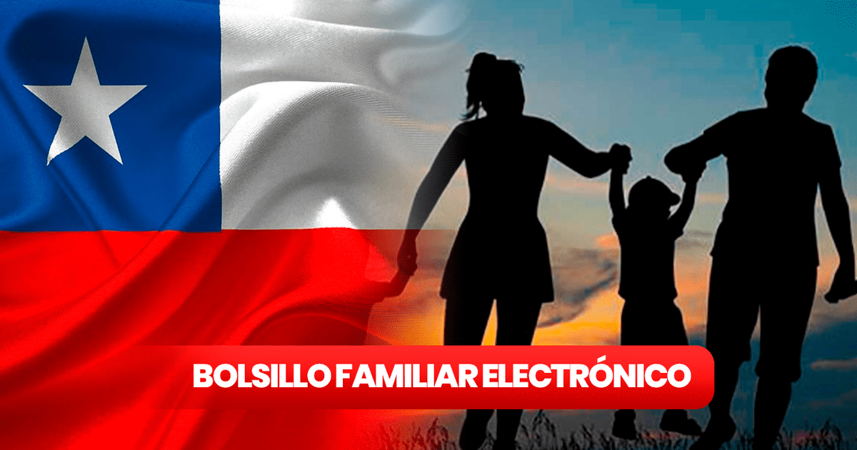 Bolsillo Familiar Electrónico En Chile: Cómo Consultar Con RUT Si Soy ...