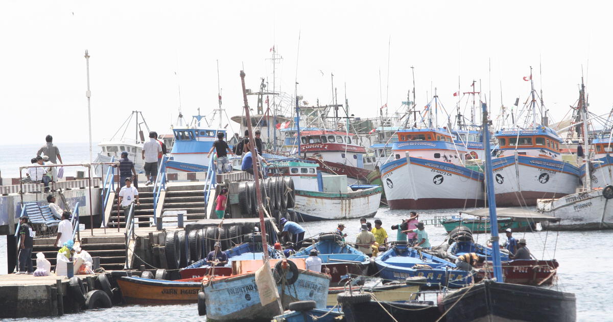 Piura: Pescadores De Anchoveta En Crisis Solicitan Ayuda LRND ...