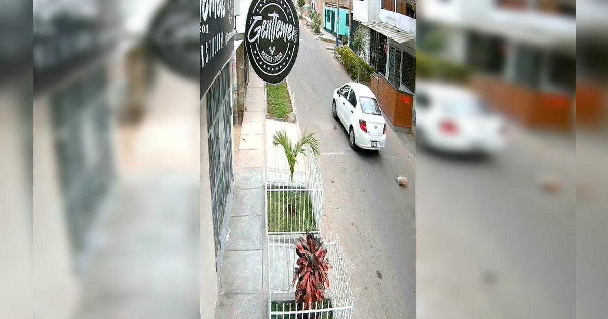 SJL: Chofer atropella a mascota y se da a la fuga dejándola en estado ...