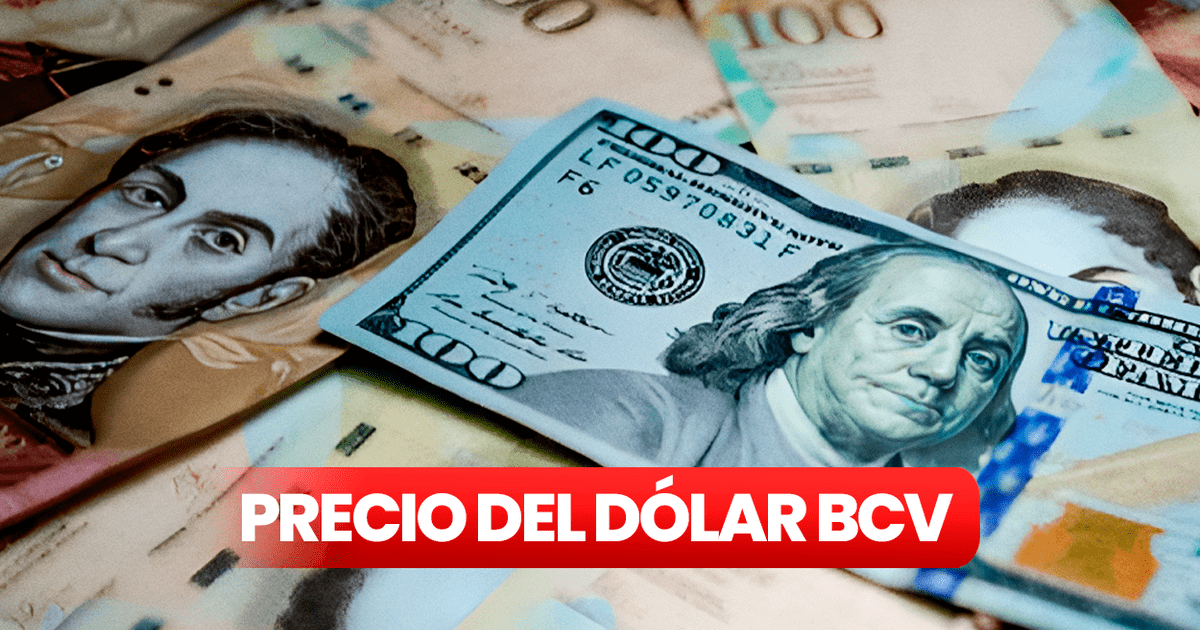 BCV Dollar January 21, 2024: Official Rate According to the Central Bank of Venezuela |  The price of the dollar today by the Central Bank of Venezuela |  Venezuela