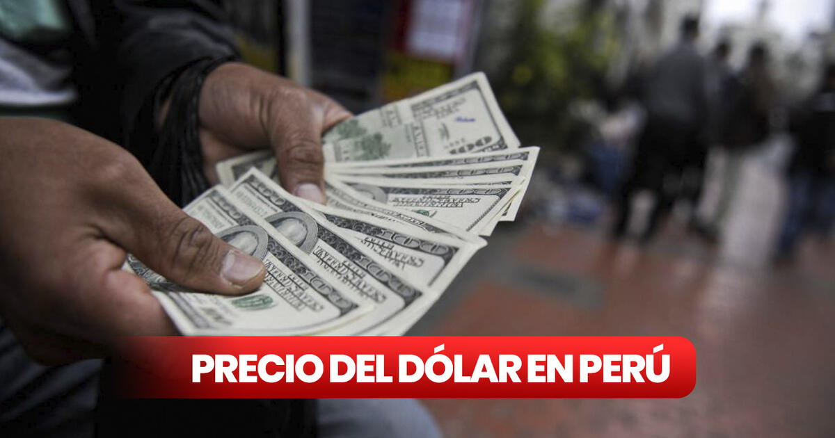 The price of the dollar in Peru today, March 8: exchange rate for buying and selling |  Today's Dollar |  Dollars to Soles |  Dollar Trend |  Sunat |  Jiron Okona |  SBS |  |  Dollar price