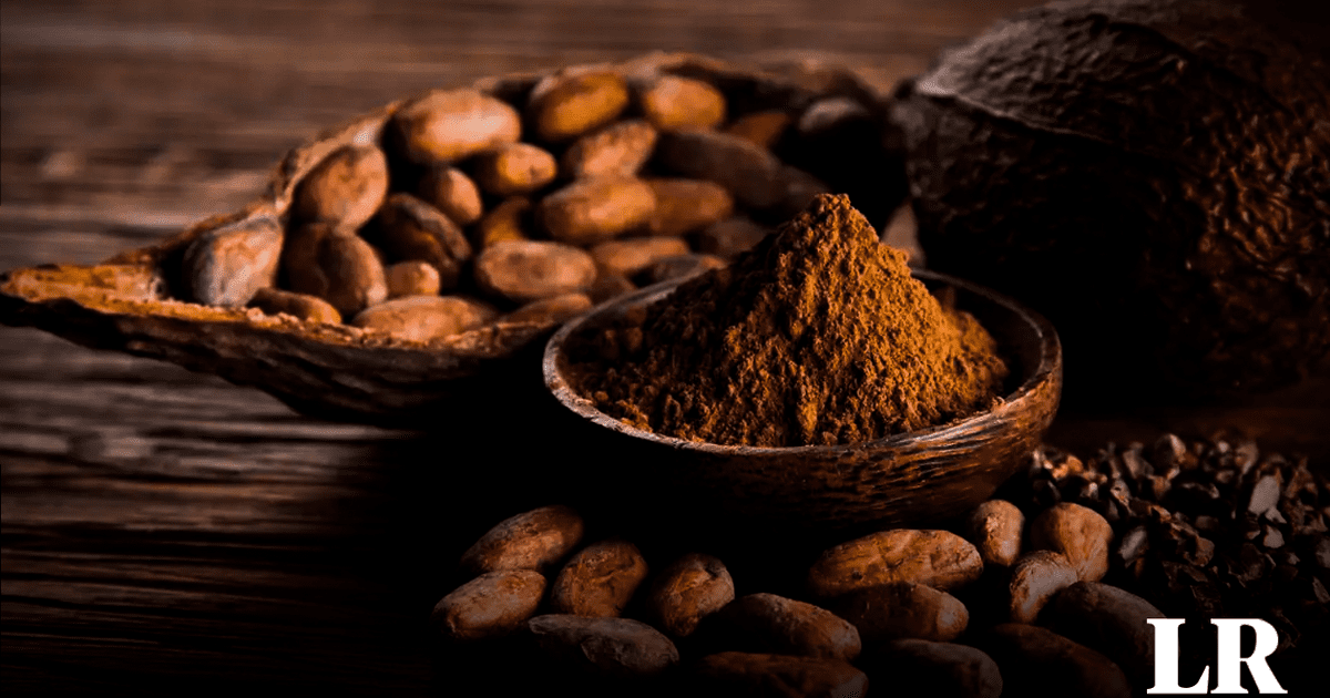 The True Birthplace of Cocoa: Ecuador’s Role in History and Global Production