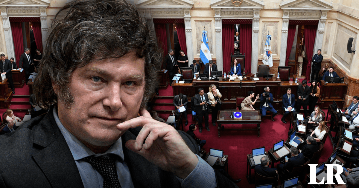 Duro Golpe Para Javier Milei Senado De Argentina Rechaza Megadecreto De Reformas Dnu Senado