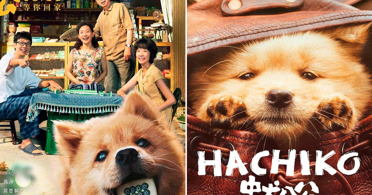 Hachiko Fecha De Estreno Sinopsis Tr Iler Y M S Sobre La Secuela Del Perro M S Fiel Del