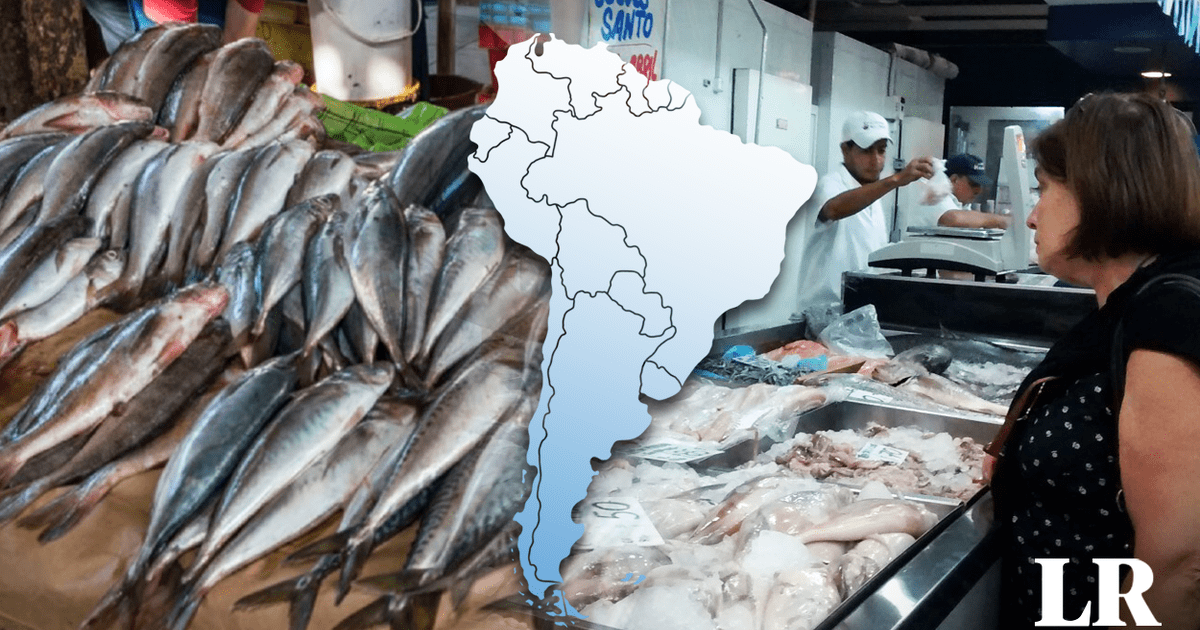 Sudamérica Conoce al país donde se consume más pescado en América del