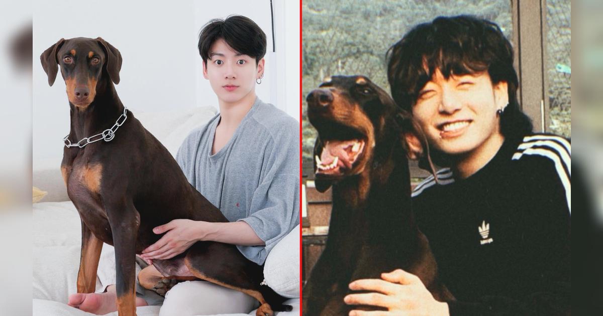 Jungkook de BTS crea cuenta de Instagram para su mascota Bam y consigue