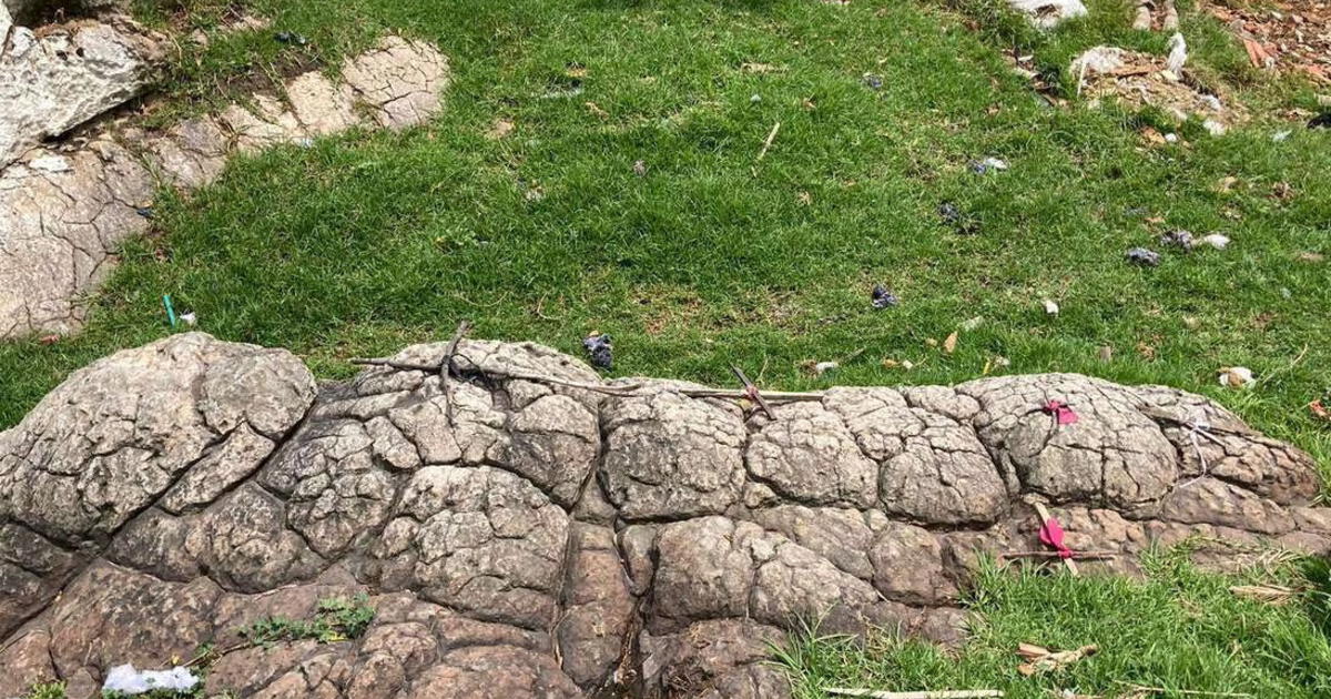 El Niño De Piedra En Bogotá ¿cuál Es Su Misteriosa Historia Y Por Qué