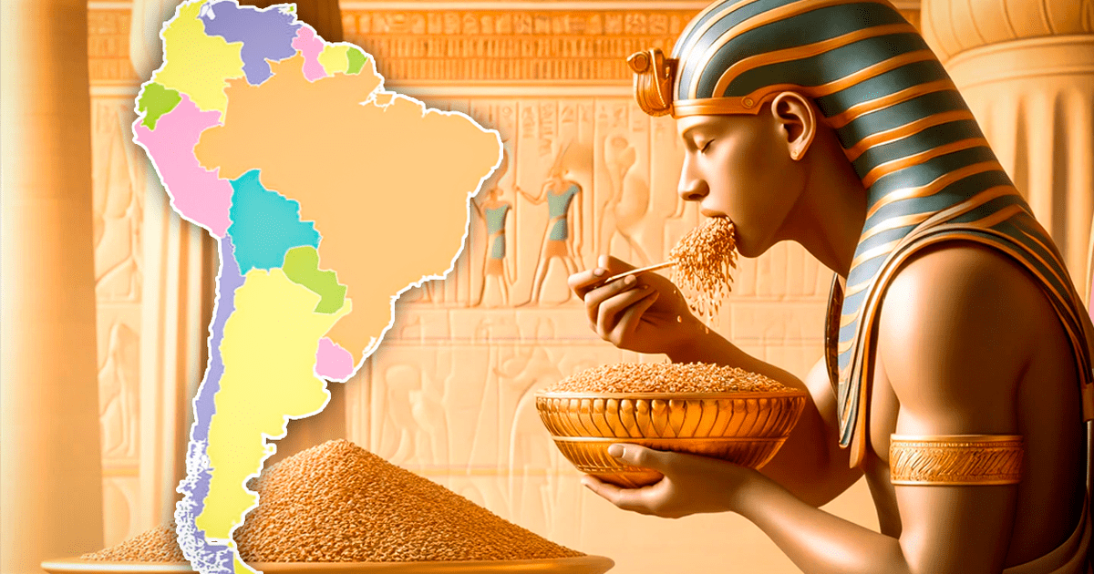 The world’s oldest grain, a favorite of the Pharaohs, is grown in 6 South American countries  Peru |  Brazil |  Argentina |  Chile |  Paraguay |  Uruguay |  Science