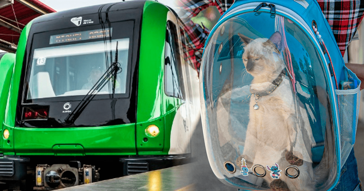 se permiten perros en los trenes de metro