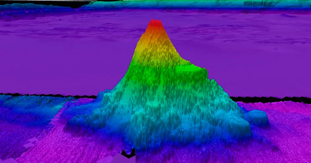  Durante una expedición desde Costa Rica a Chile, el buque 'Falkor' del Schmidt Ocean Institute descubrió cuatro montes submarinos entre Perú y Chile. Foto: Schmidt Ocean Institute   