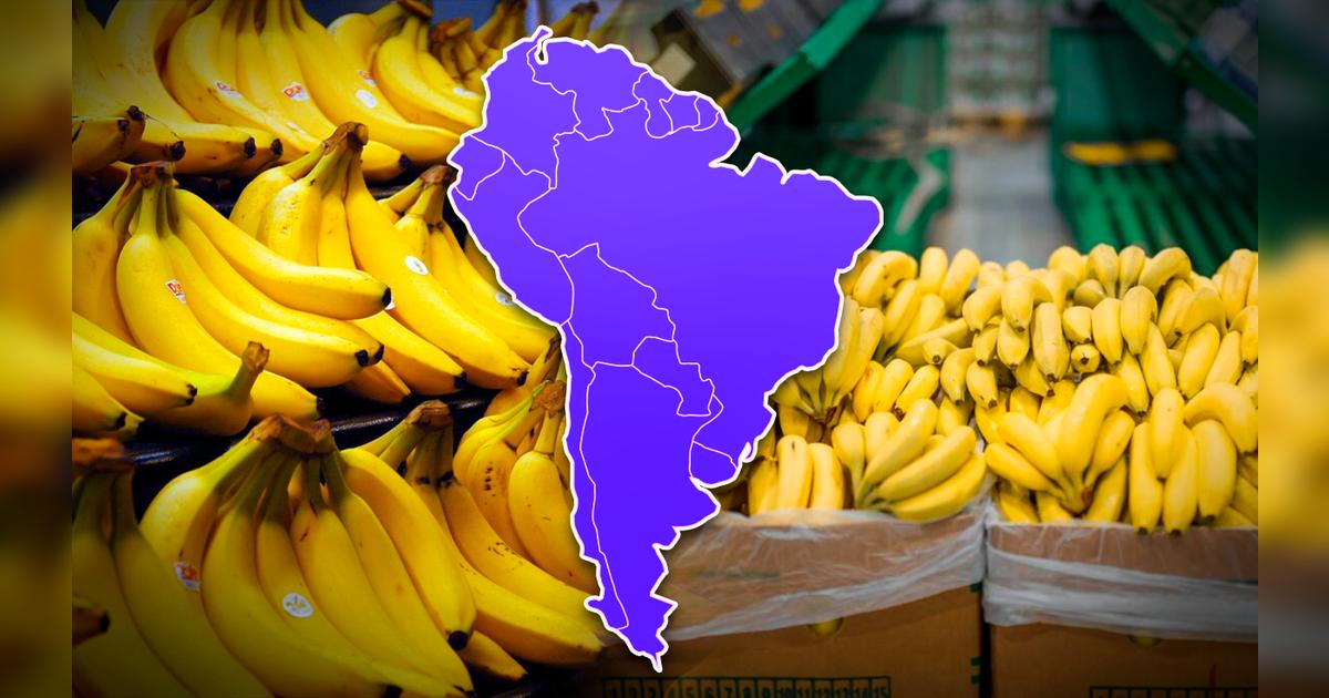 El país de Sudamérica líder en exportación de plátano del mundo: supera