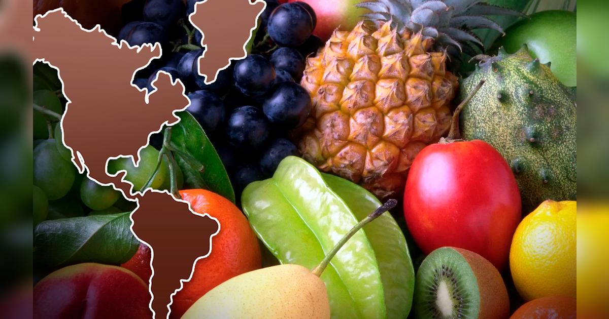 Descubre los 5 países que exportan la mayor cantidad de frutas a todo ...
