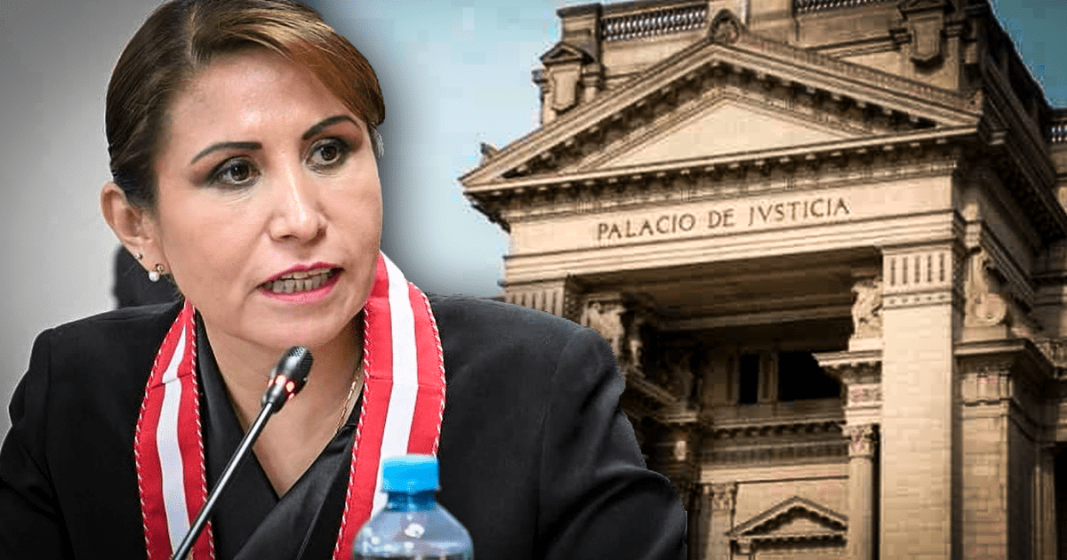 Patricia Benavides Poder Judicial Analizará Este Miércoles 21 Su