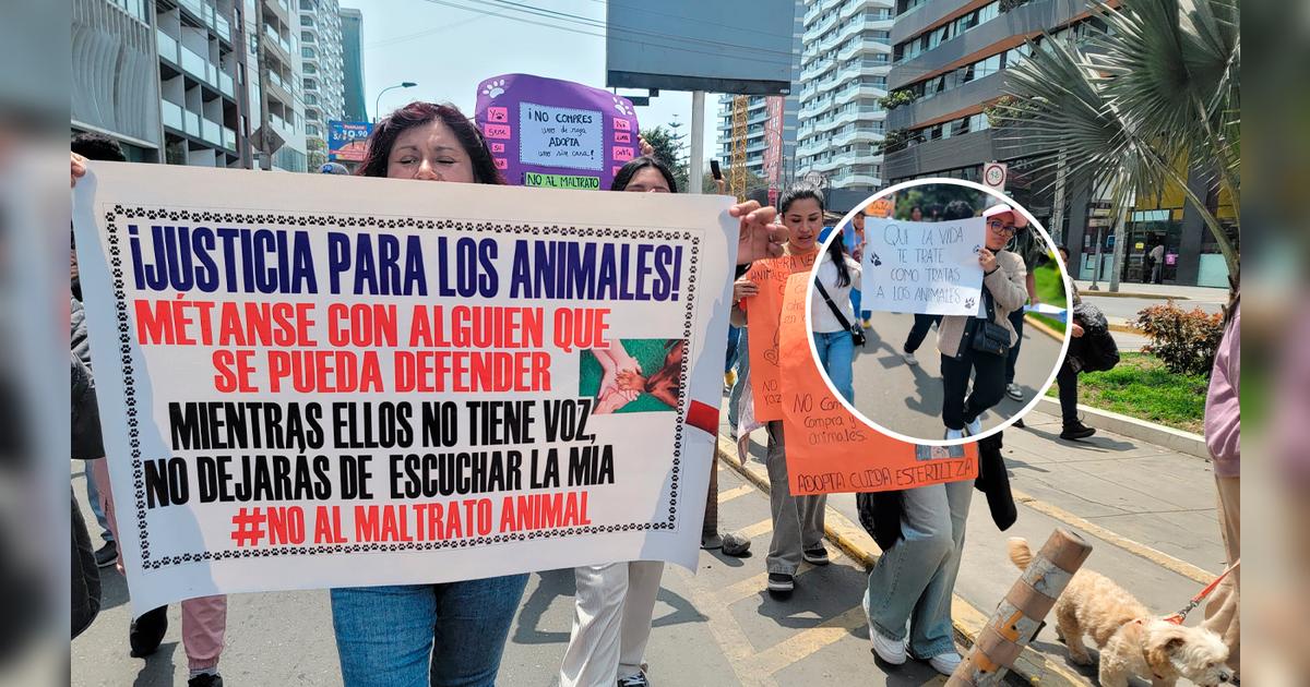 Marcha contra el maltrato animal: ciudadanos se movilizan en defensa de