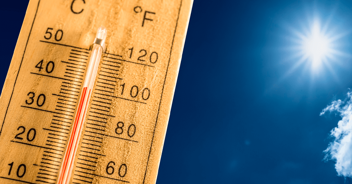 Pronóstico del clima en Texas: Otoño e invierno 2024 y ahorros en calefacción | LRTMUS | Estados Unidos | La República