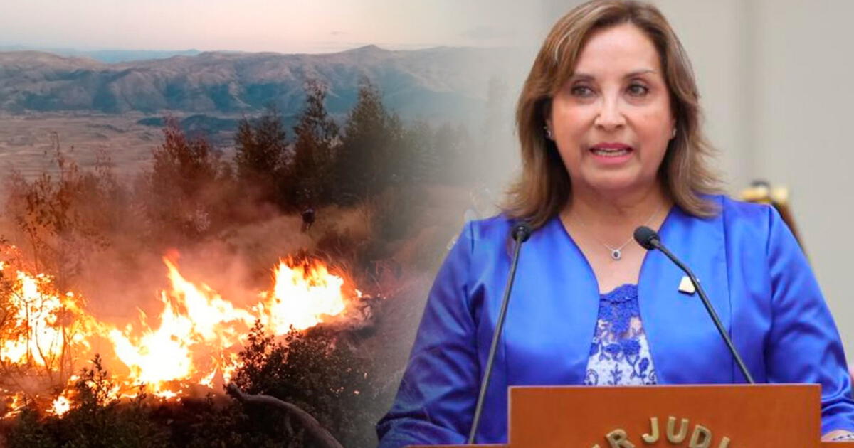 Boluarte presents a bill to combat forest fires in Peru.