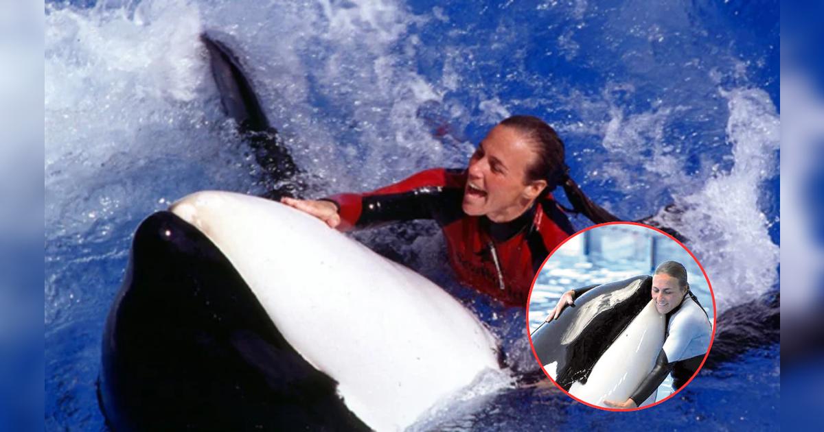 La Trágica Historia De La Entrenadora Que Fue Asesinada Por La Orca Que