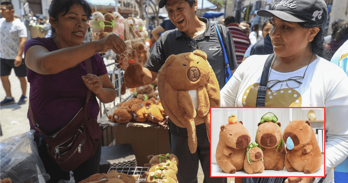 Los Capibaras Inundan Las Calles De Lima Cu Les Son Los Precios Y