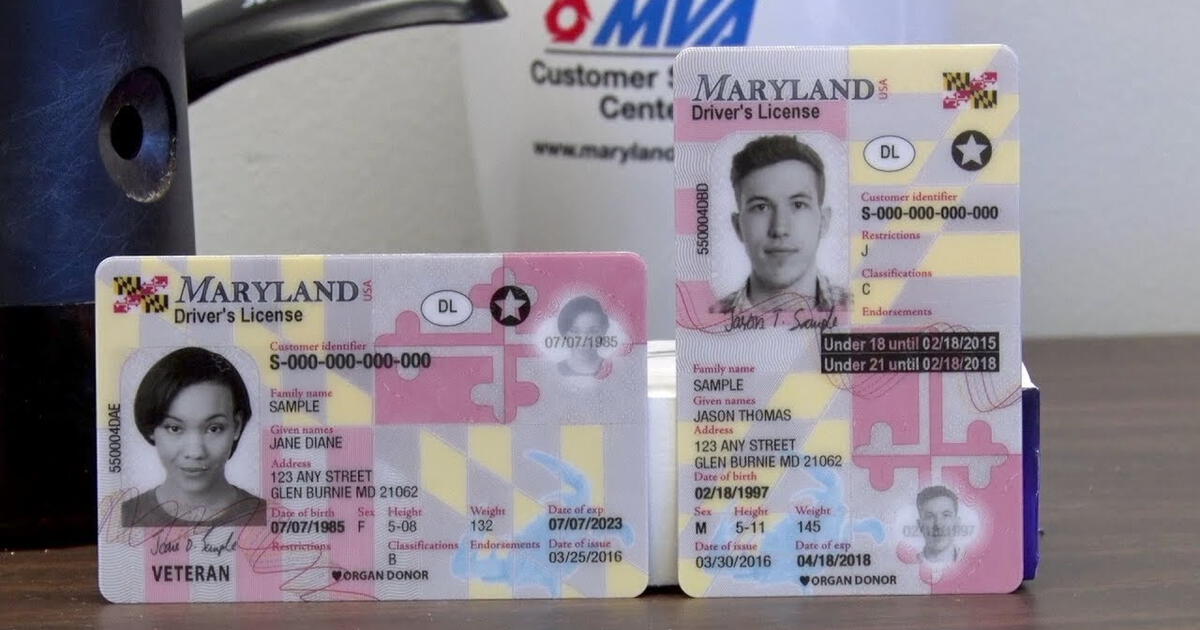 Licencia de conducir para inmigrantes en Maryland 5 únicos requisitos