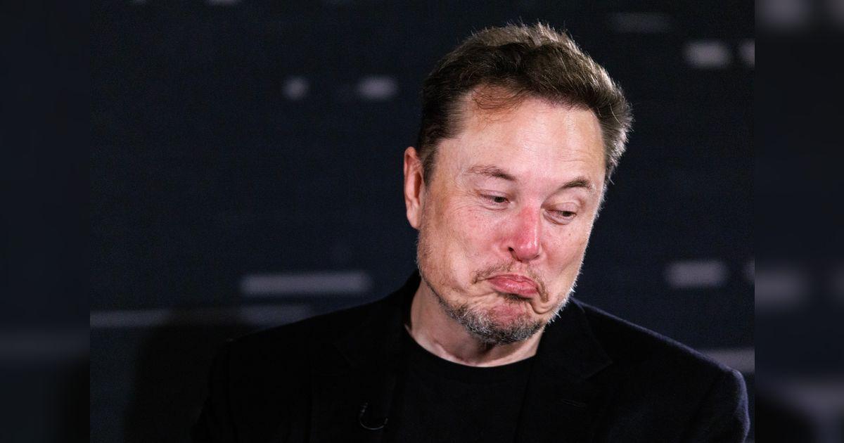Elon Musk y su posición a favor de los extranjeros en Estados Unidos ...