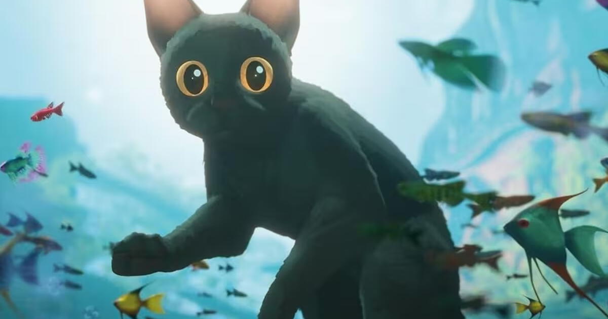  flow d nde ver el filme ganador del oscar 2025 como mejor pel cula