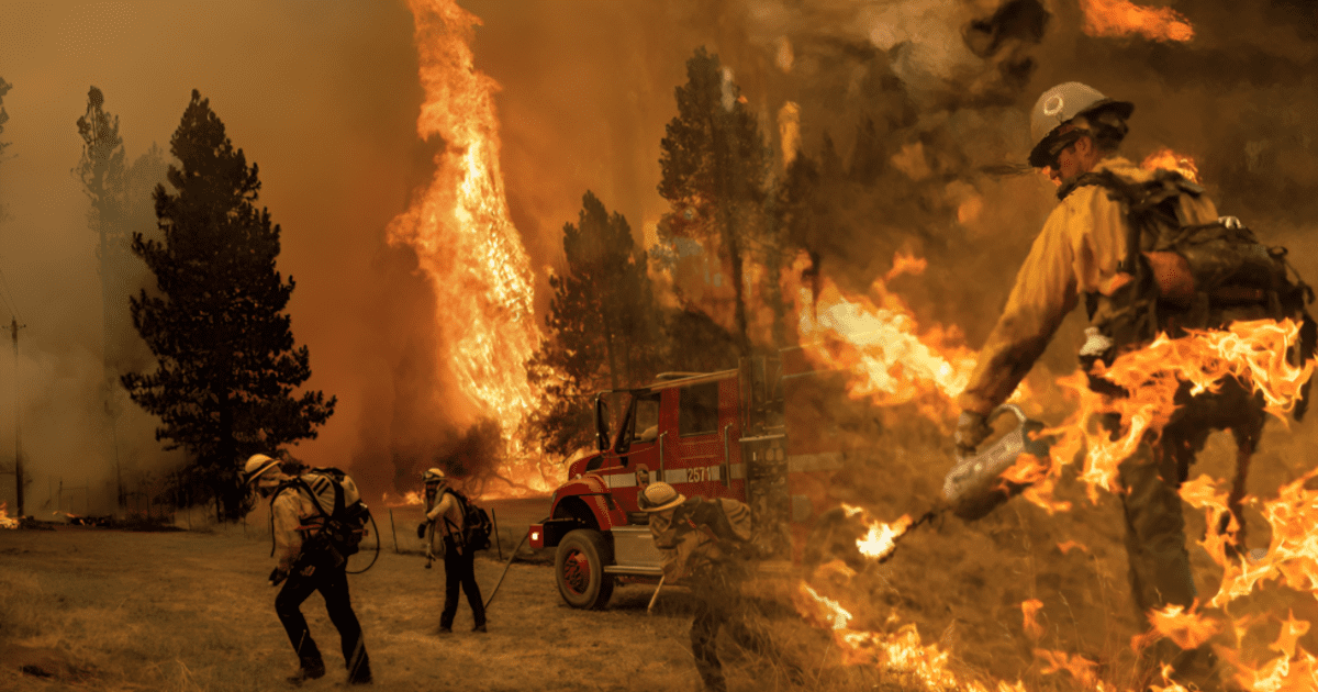 Incendios forestales en Los Ángeles: medidas para proteger tu salud respiratoria en EE. UU., según médico