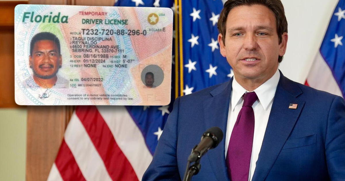 ¿Adiós licencia de conducir para inmigrantes en Florida? Proyecto de ...