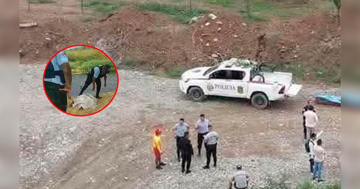 Padre e hijo pierden la vida ahogados en quebrada de Piura | Sociedad ...