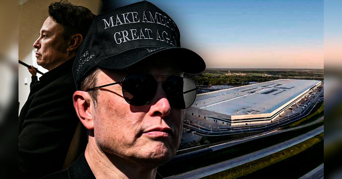 Elon Musk y la compra de más de 1.000 hectáreas en América Latina que ...