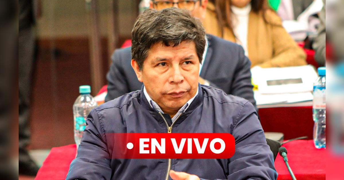 Pedro Castillo: audiencia de juicio oral por fallido golpe de Estado se ...