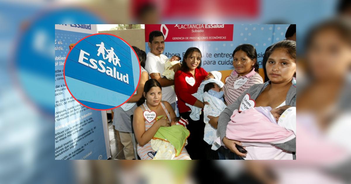 Afiliadas a EsSalud podrán acceder al subsidio por lactancia: conoce el ...