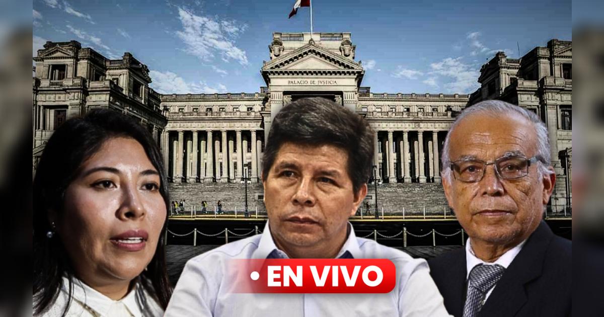 Pedro Castillo EN VIVO: continúa el juicio oral contra el expresidente ...