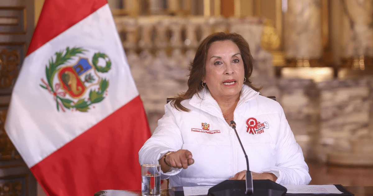 Gobierno de Dina Boluarte presenta proyecto – El reportero andino