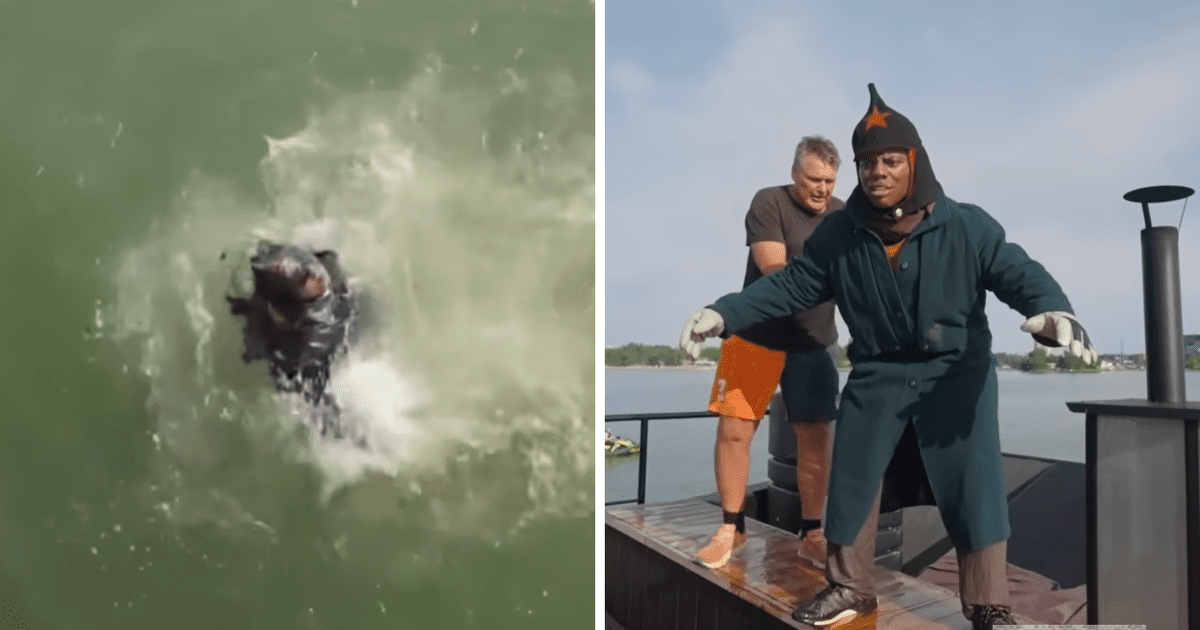 'Speed', famoso streamer de EE.UU., se prende fuego durante una transmisión en vivo y salta al mar