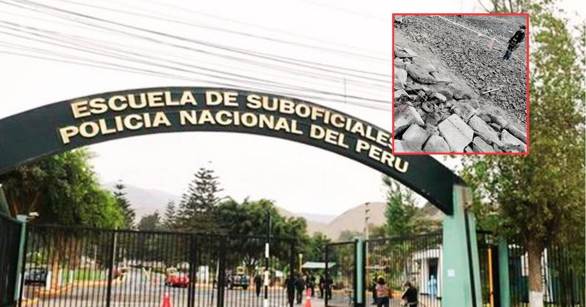 Cadete de la PNP muere tras ser impactado por – El reportero andino