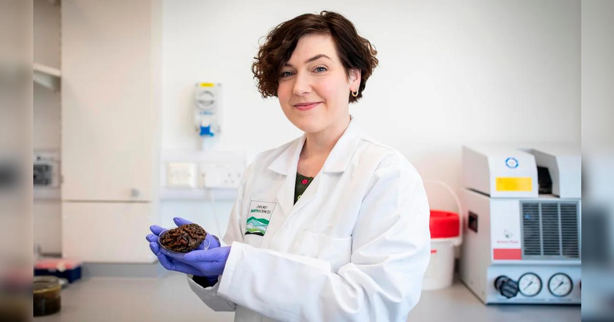 Científica británica desvela secretos del cerebro a través de historias humanas