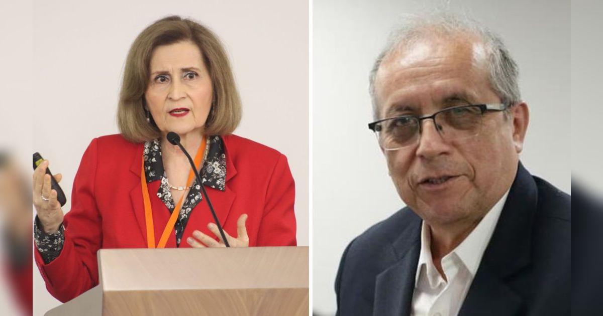 Presidenta del TC en línea con discurso del – El reportero andino
