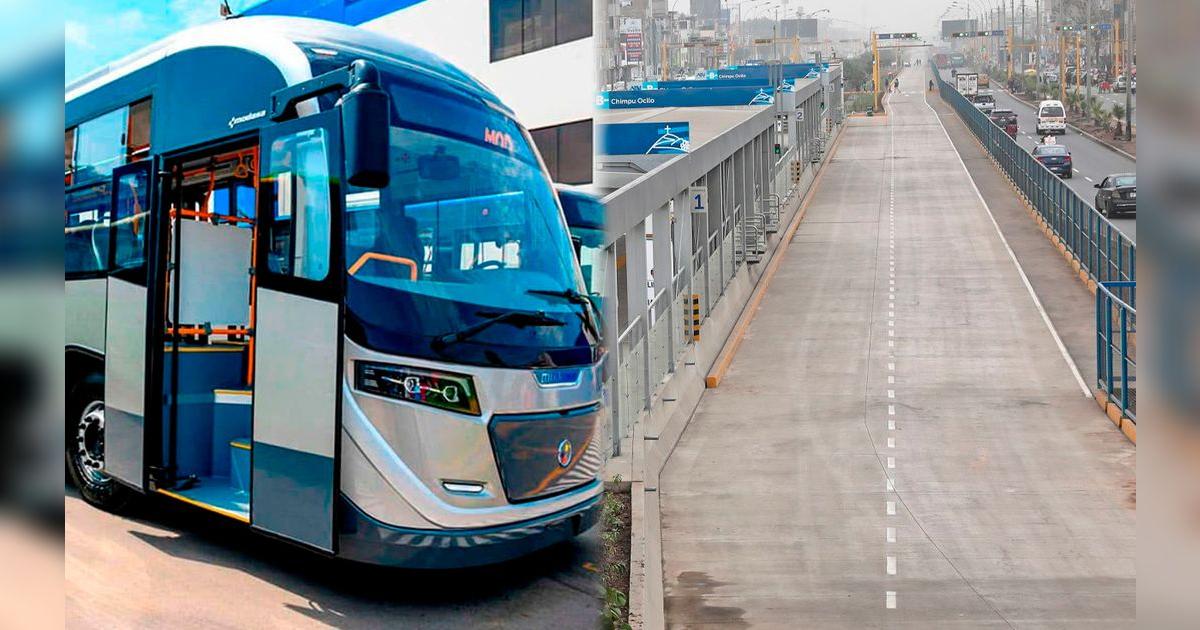Metropolitano en decadencia: buses terminan – El reportero andino