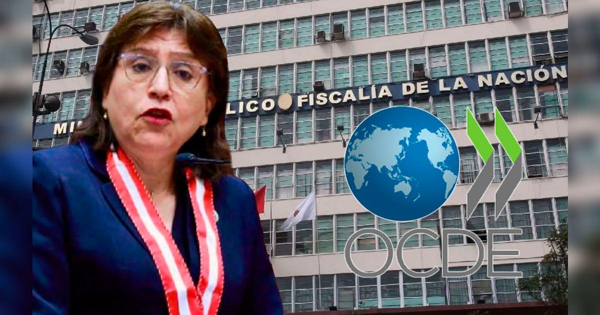OCDE alerta que Perú no protege a fiscales – El reportero andino
