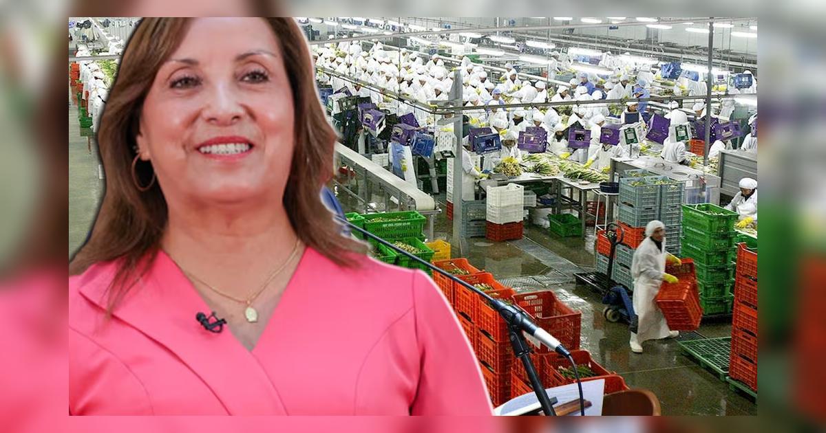 Gobierno de Dina Boluarte promulga Ley – El reportero andino